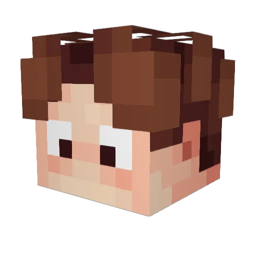 1_IO_OI_1 Minecraft avatar head, 3D render