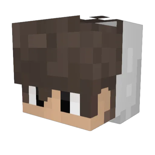 1_MAU_1 Minecraft avatar head, 3D render