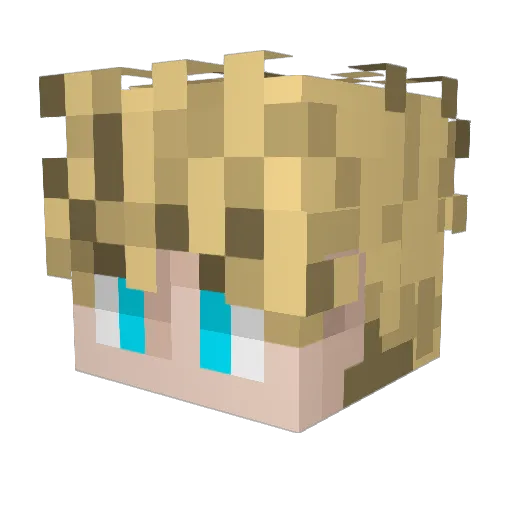 1_Rasmus Minecraft avatar head, 3D render
