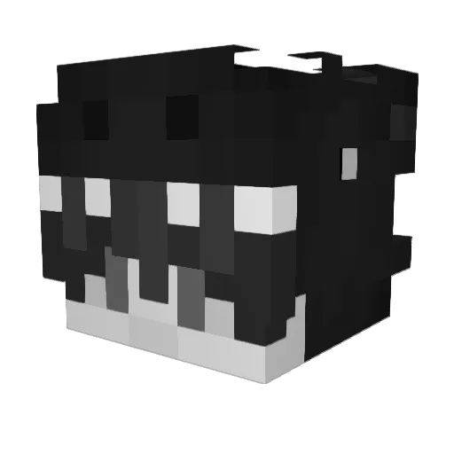 1_Seli Minecraft avatar head, 3D render