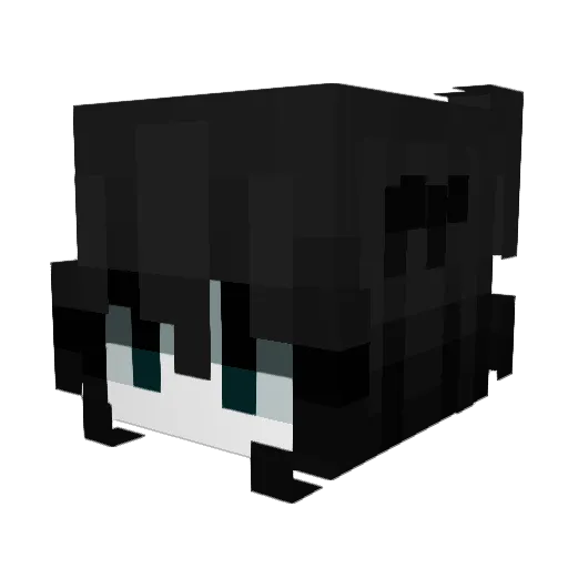 1_am_the_best Minecraft avatar head, 3D render
