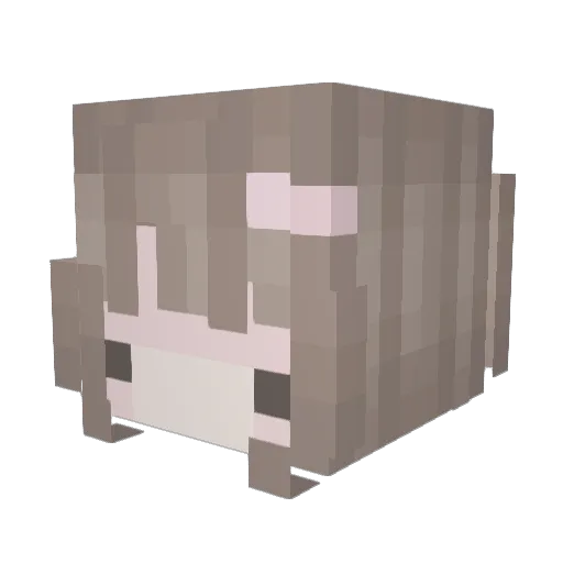 1_applekitty Minecraft avatar head, 3D render