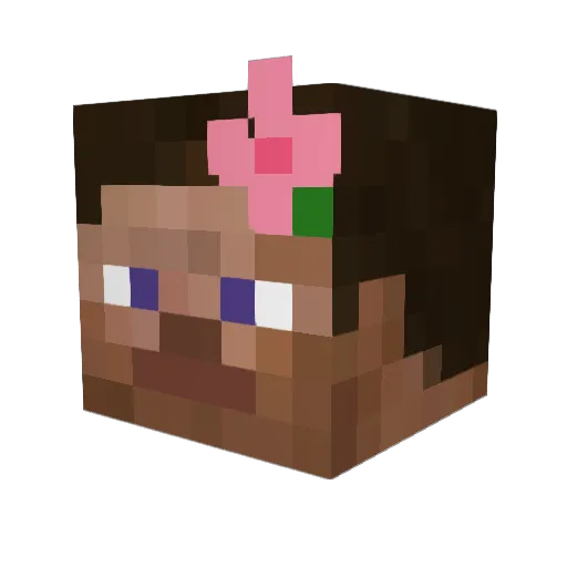 1afa Minecraft avatar head, 3D render