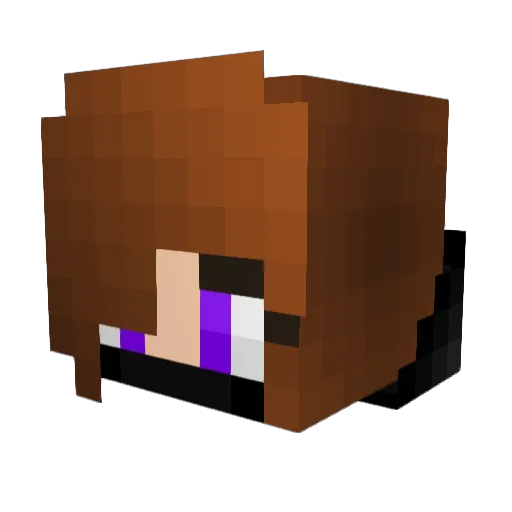 1ameera Minecraft avatar head, 3D render