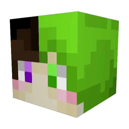 1amnotsam Minecraft avatar head, 3D render