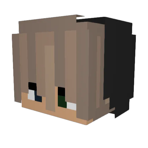 1andonlyNiko Minecraft avatar head, 3D render
