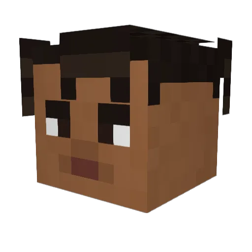 1ann Minecraft avatar head, 3D render