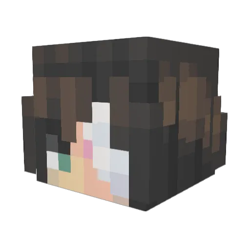 1arg Minecraft avatar head, 3D render