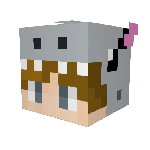 1avaD0s Minecraft avatar head, 3D render