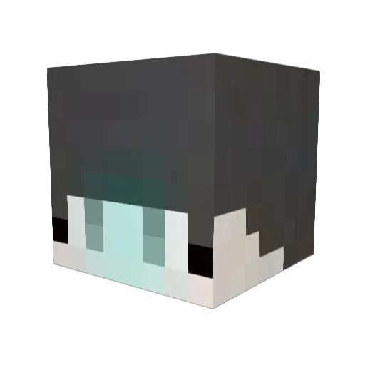1banin0714 Minecraft avatar head, 3D render
