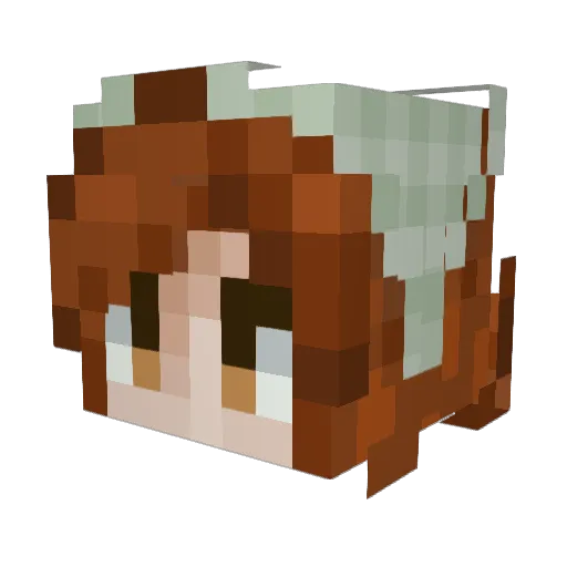 1blackdiamond Minecraft avatar head, 3D render