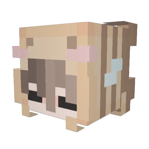 1blockster2 Minecraft avatar head, 3D render
