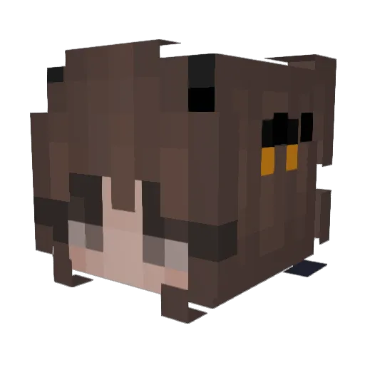 1bunnylover Minecraft avatar head, 3D render