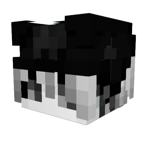 1buprofiend Minecraft avatar head, 3D render