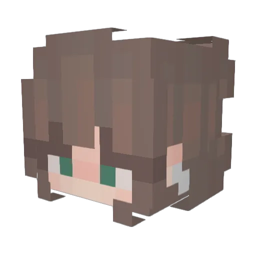 1c___22 Minecraft avatar head, 3D render