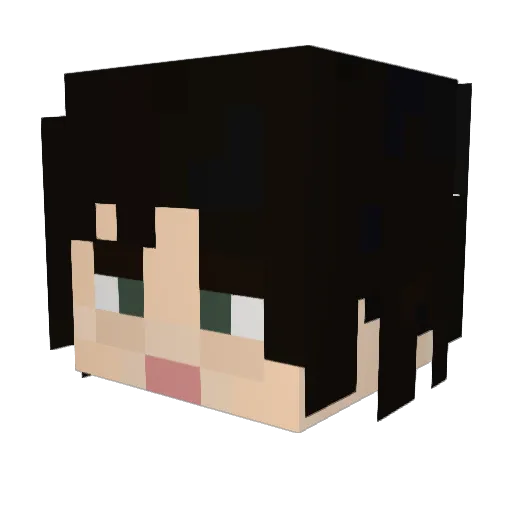 1cam1 Minecraft avatar head, 3D render
