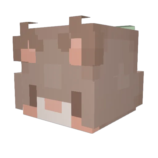 1cecreamYUMMY Minecraft avatar head, 3D render