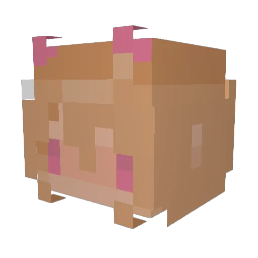 1chi5o Minecraft avatar head, 3D render