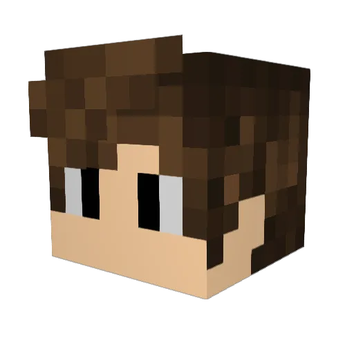 1costarecraft1 Minecraft avatar head, 3D render