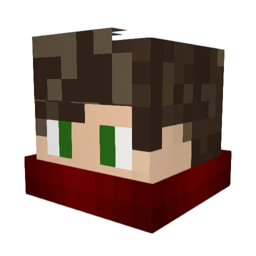 1d0a10n10i10 Minecraft avatar head, 3D render