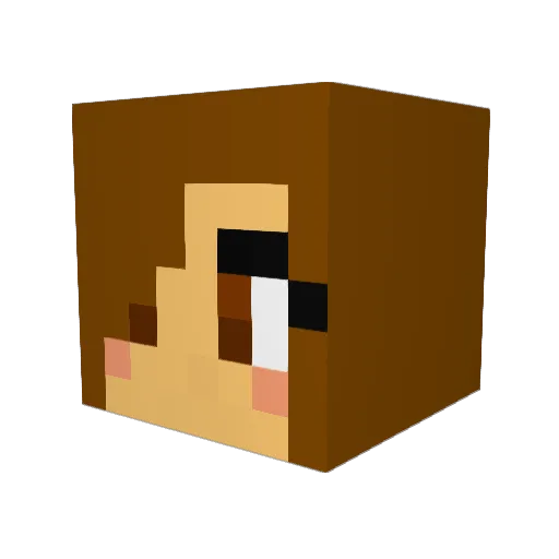 1darkcrafter1 Minecraft avatar head, 3D render