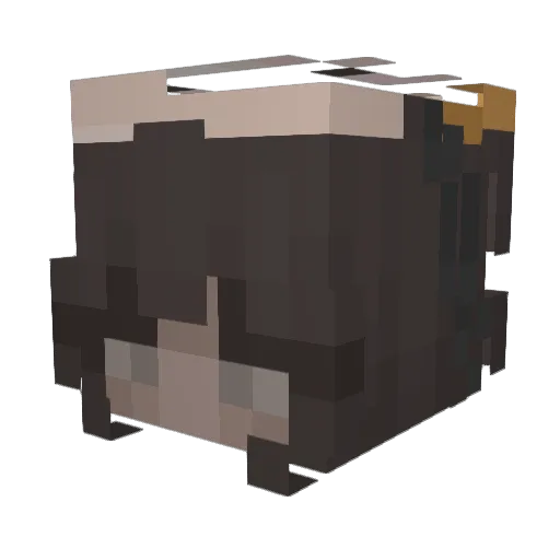 1daylizzy1 Minecraft avatar head, 3D render