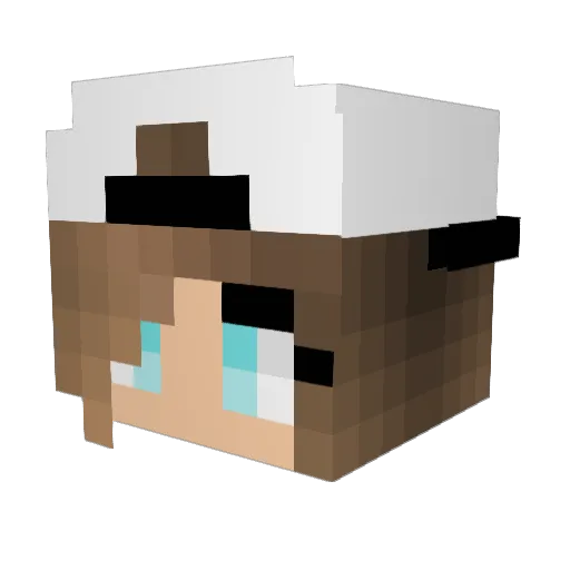1dfan4ever Minecraft avatar head, 3D render