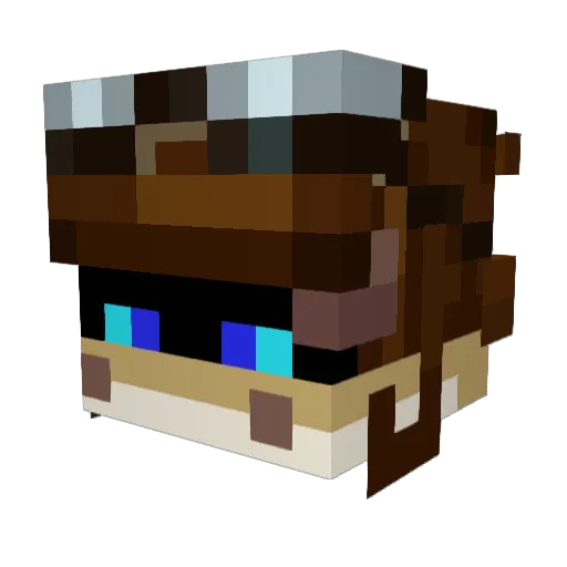 1diamondcobra1 Minecraft avatar head, 3D render