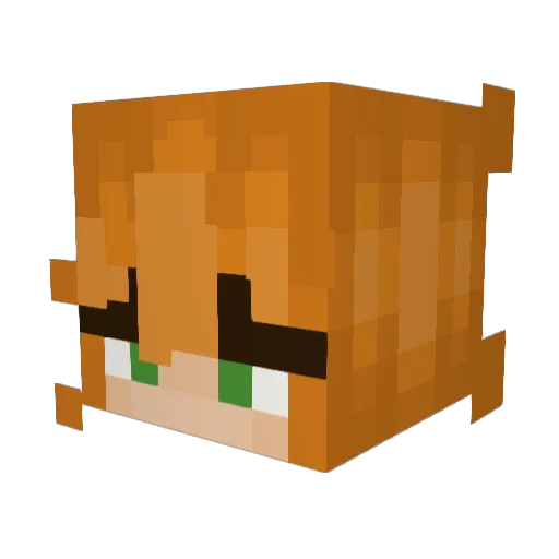 1diamonddigger Minecraft avatar head, 3D render