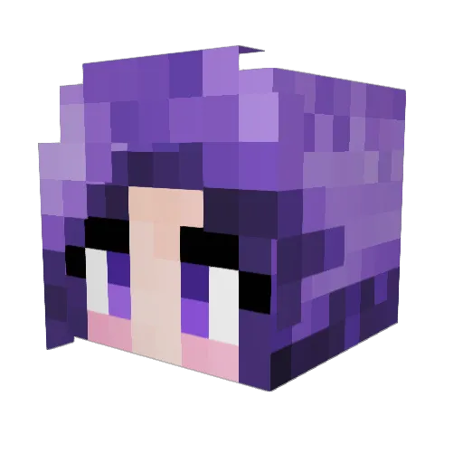 1doomphd1 Minecraft avatar head, 3D render