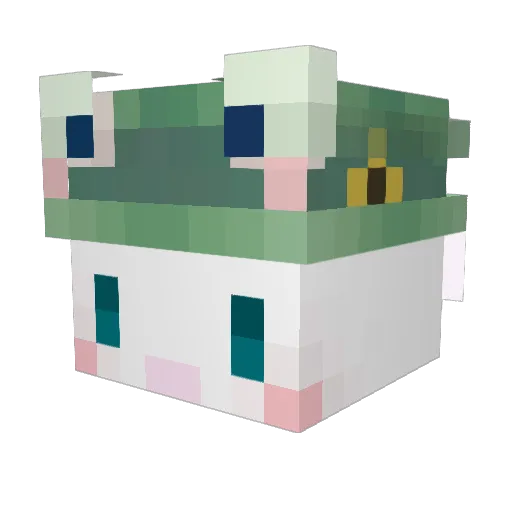 1eck Minecraft avatar head, 3D render
