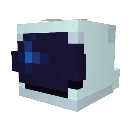 1etMeCook Minecraft avatar head, 3D render