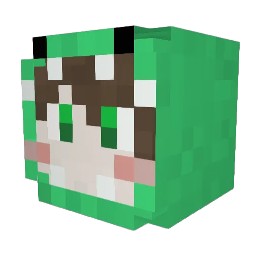1fi Minecraft avatar head, 3D render