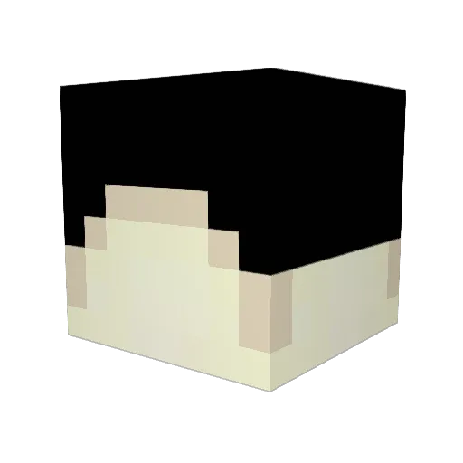 1fly25 Minecraft avatar head, 3D render