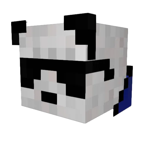 1flyingpanda Minecraft avatar head, 3D render