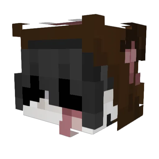 1fredm1 Minecraft avatar head, 3D render