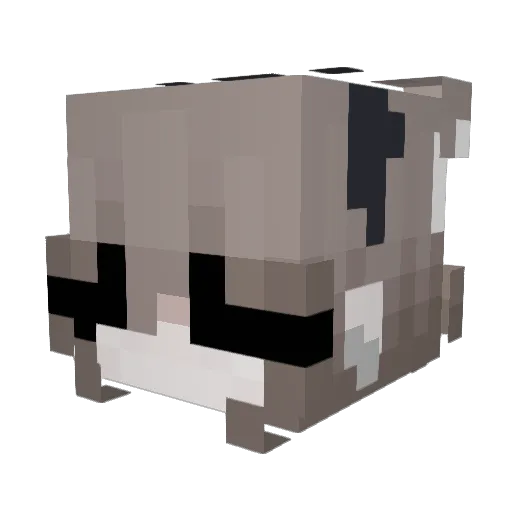 1fym Minecraft avatar head, 3D render
