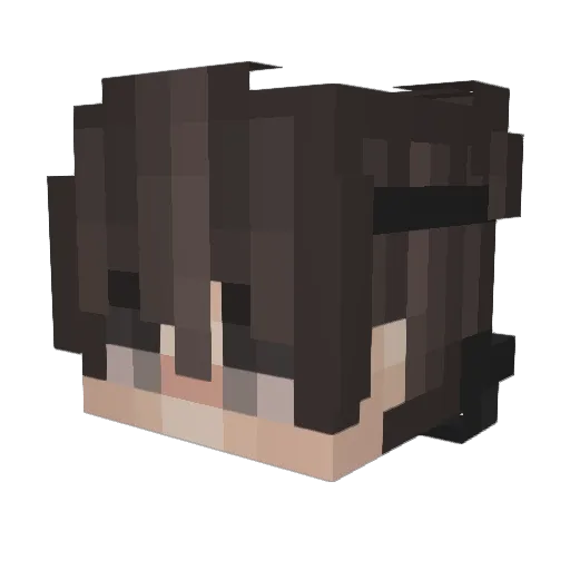 1iHASON_ Minecraft avatar head, 3D render