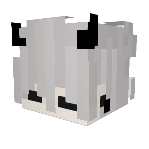 1iNathan Minecraft avatar head, 3D render
