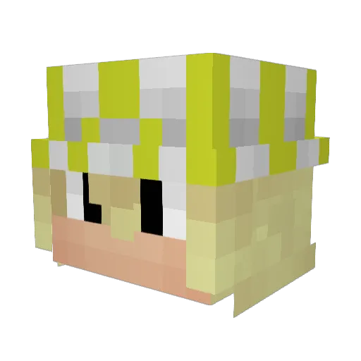 1ian__ Minecraft avatar head, 3D render