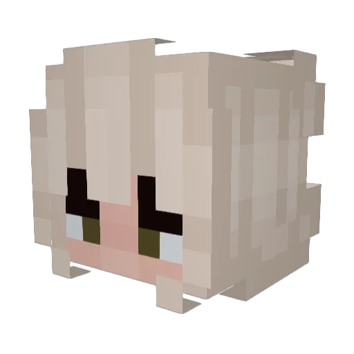 1imes Minecraft avatar head, 3D render