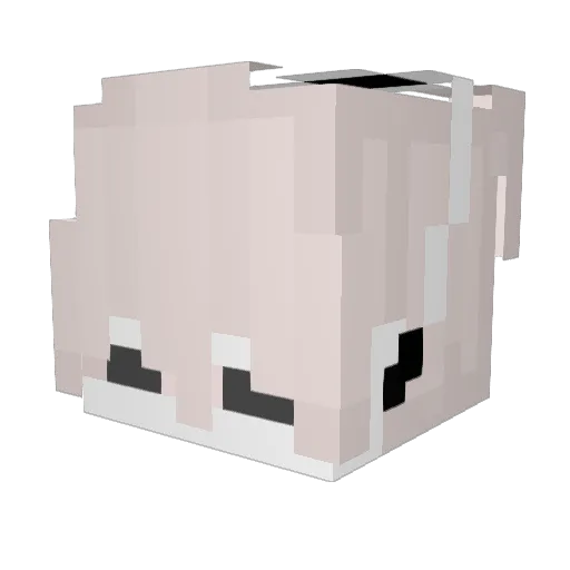 1inonly Minecraft avatar head, 3D render