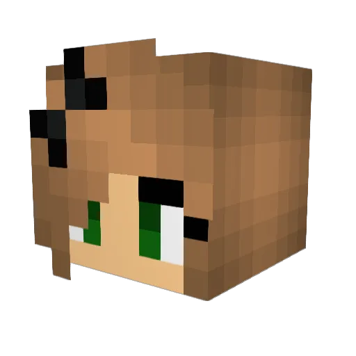 1jessie1 Minecraft avatar head, 3D render