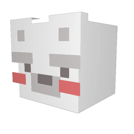 1jyj1 Minecraft avatar head, 3D render