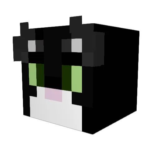 1katttt Minecraft avatar head, 3D render