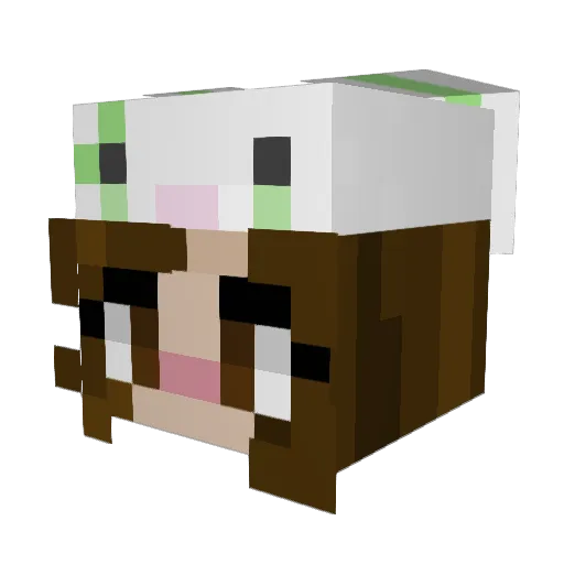 1lettuce Minecraft avatar head, 3D render