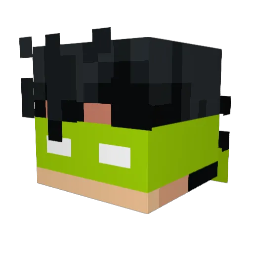 1lke Minecraft avatar head, 3D render