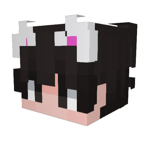 1lm2lm Minecraft avatar head, 3D render