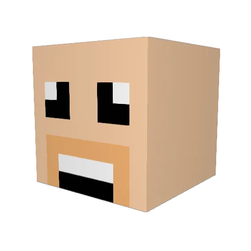 1lunatic Minecraft avatar head, 3D render