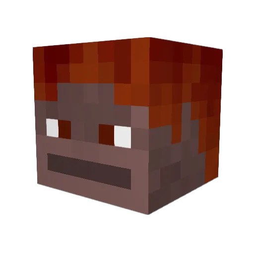 1lunch Minecraft avatar head, 3D render
